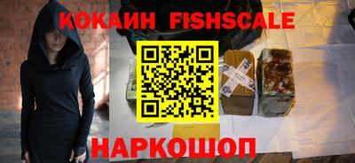 шишки Тара