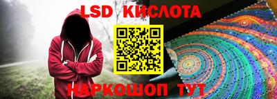 шишки Тара