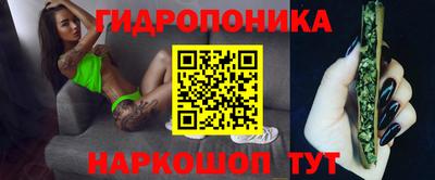 шишки Тара