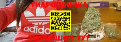 шишки Тара