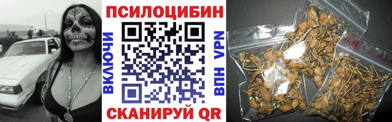 shop наркотические препараты  мега ссылка  Мончегорск  Галлюциногенные грибы мицелий 