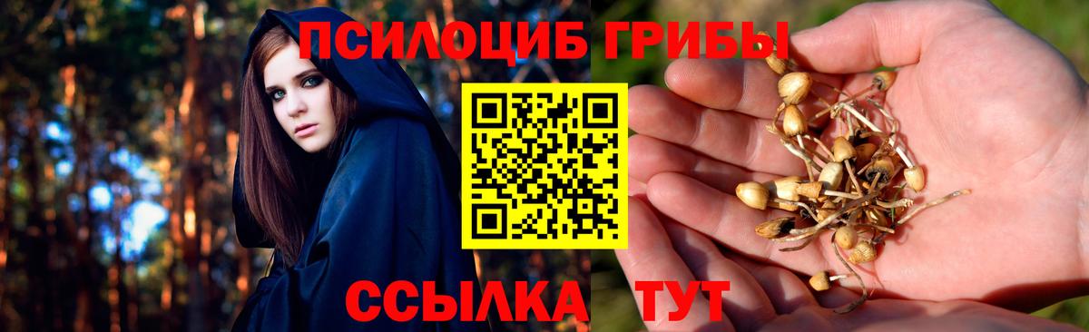Псилоцибиновые грибы мухоморы  Вход с VPN  Мончегорск 