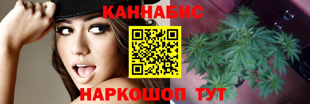 Канабис White Widow Мончегорск